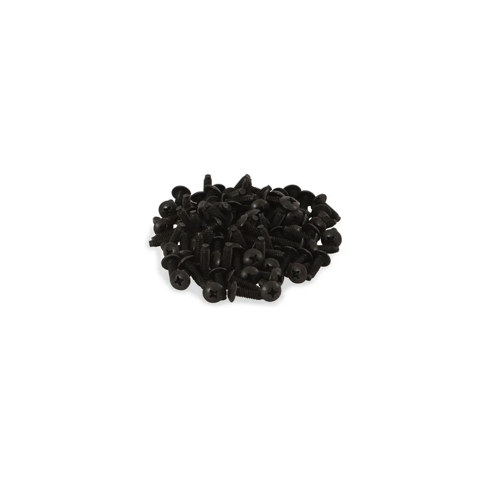 0100-1-002-03 12-24 Rack Screws - 100 Pack