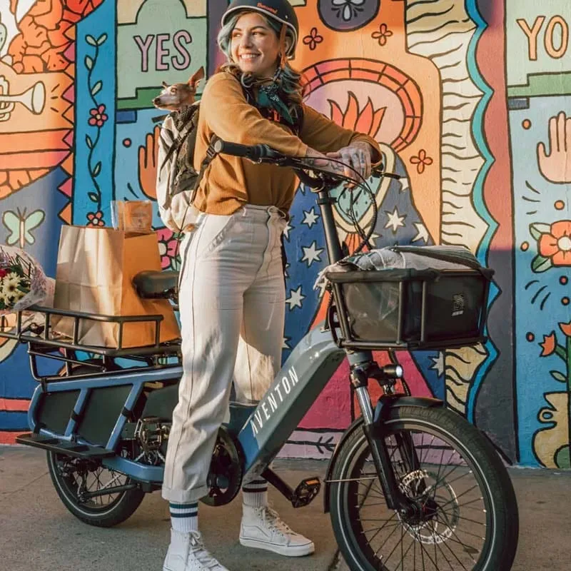 Aventon Abound Electric Cargo Bike