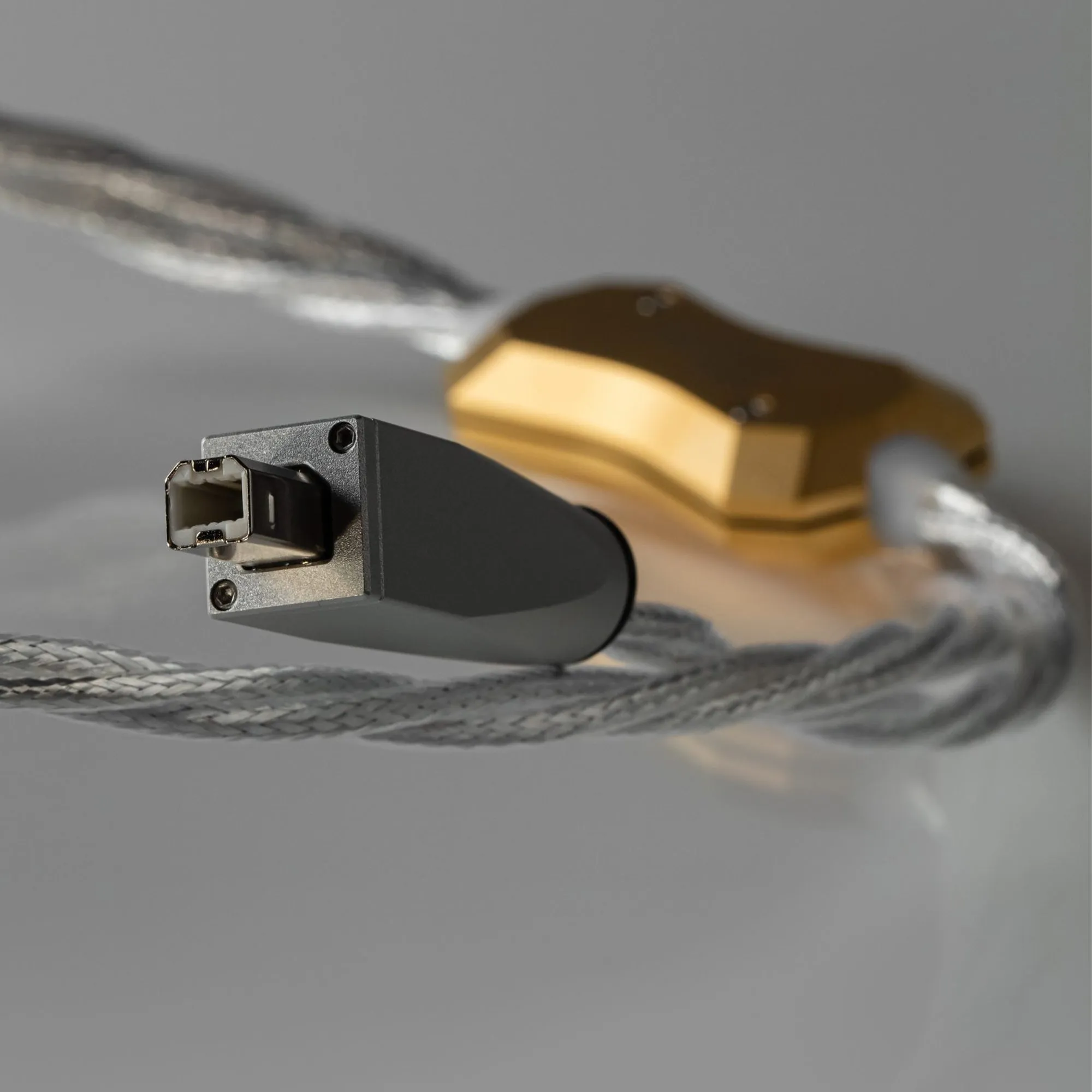 Crystal Cable Art Series Monet USB Cable