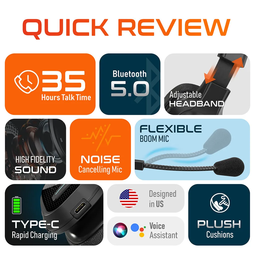 Delton 20X Professional Wireless Computer Headset with Mic   USB Dongle