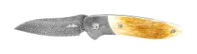 Glory Folder Semi-Custom #181 Mammoth Ivory - Damascus - Aegir Damasteel