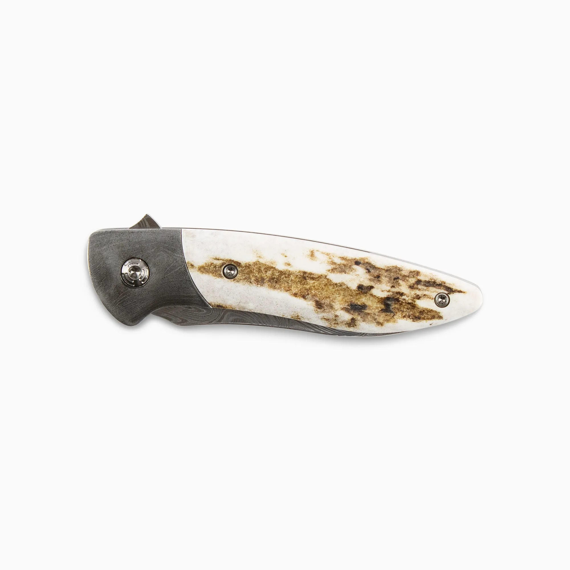 Glory Folder Semi-Custom #216 Elk Antler - Damascus - Thor Damasteel