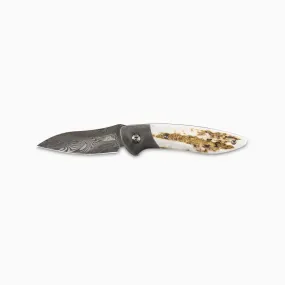 Glory Folder Semi-Custom #216 Elk Antler - Damascus - Thor Damasteel