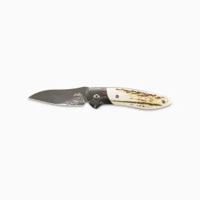 Glory Folder Semi-Custom #220 Elk Antler - Aura Timascus - Thor Damasteel