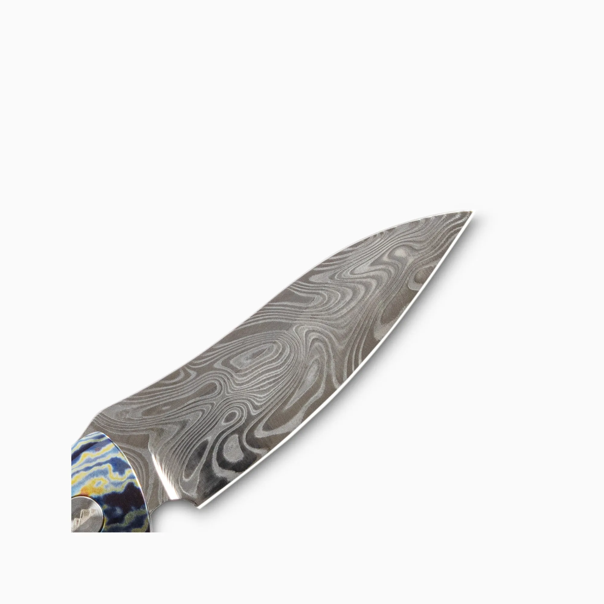 Glory Folder Semi-Custom #221 Merino Ram Horn - Timascus - Thor Damasteel