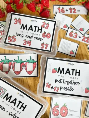 Math Mini Boxes - 2 Digit Addition