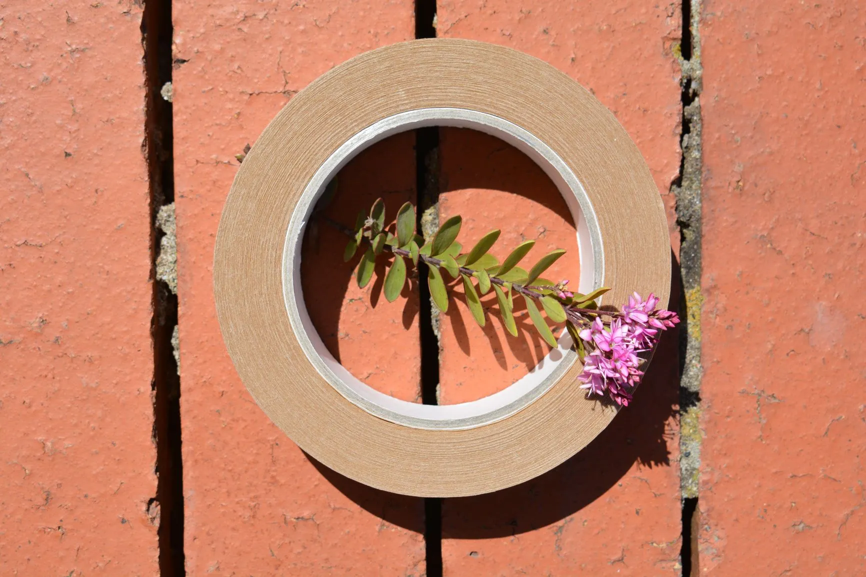 Paper Tape | 24 and 50mm Eco Sticky Tapes