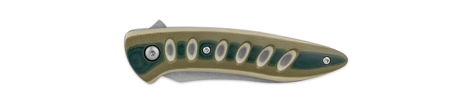 Saddleback Glory Folder - Lichen
