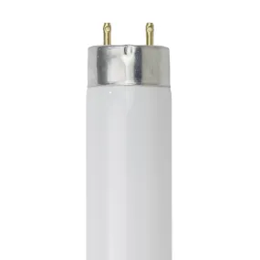 Sunlite  30185-SU - F32T8/SP750 4 Feet T8 Linear Fluorescent, 5000 Kelvin